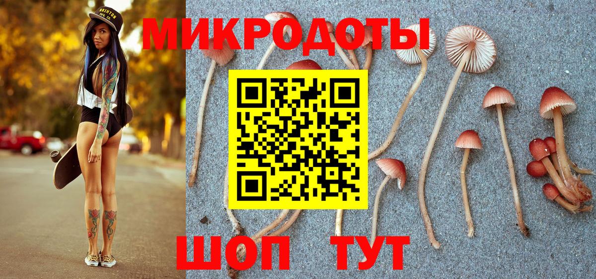 Галлюциногенные грибы мицелий Валуйки