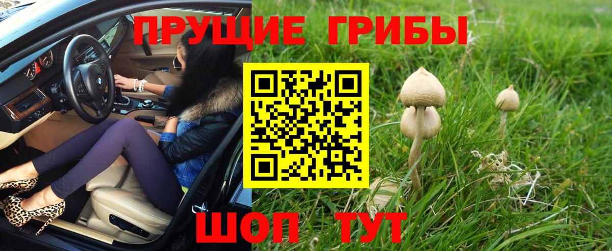 Галлюциногенные грибы GOLDEN TEACHER  Вход с VPN  где купить наркоту  Галлюциногенные грибы ЛСД  Валуйки 